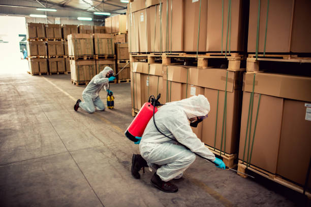 Best Affordable Pest Control Services  in Decatur, MI