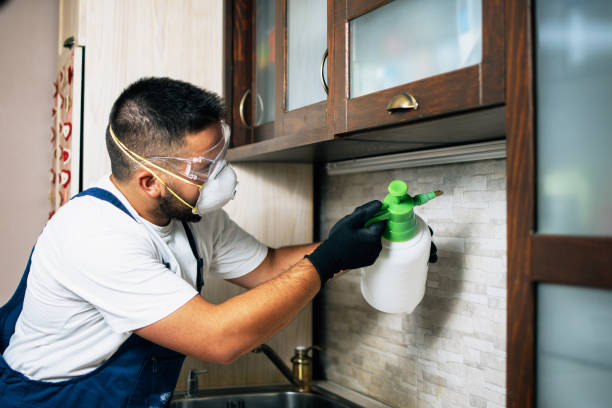 Best Commercial Pest Control Services  in Decatur, MI