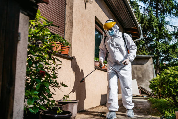 Best Mosquito Control Services  in Decatur, MI