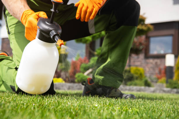 Trusted Decatur, MI Pest Control Experts