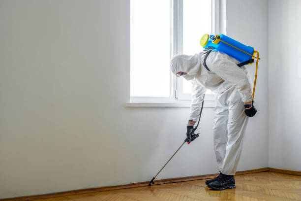 Best Wildlife Control Services  in Decatur, MI