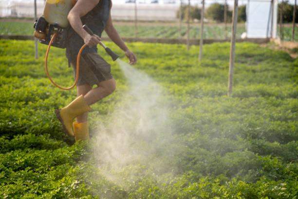 Best Residential Pest Control  in Decatur, MI