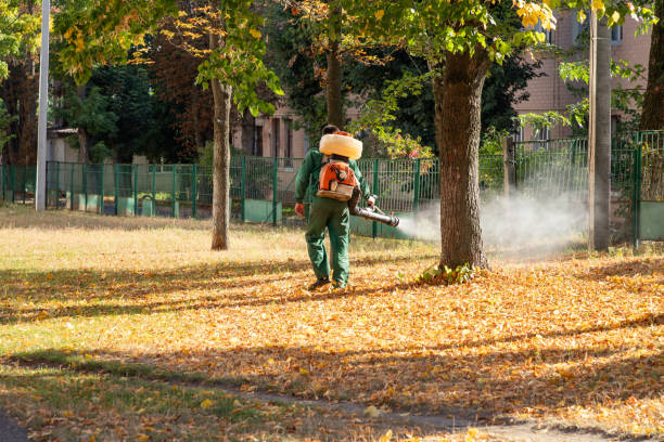 Best Mosquito Control Services  in Decatur, MI