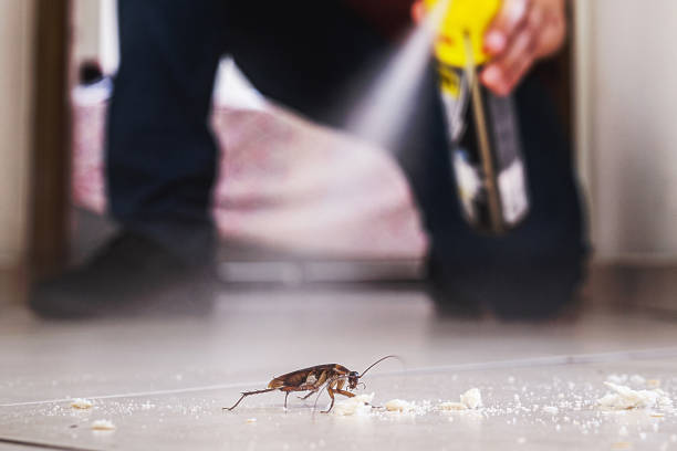 Best Cockroach Control Services  in Decatur, MI