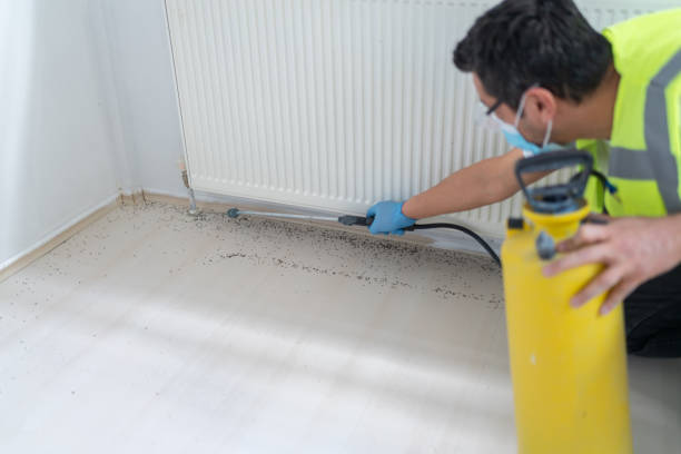 Best Residential Pest Control  in Decatur, MI