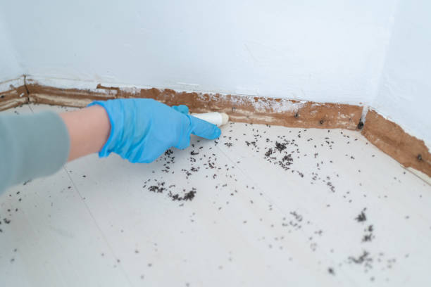 Best Pest Removal Services  in Decatur, MI