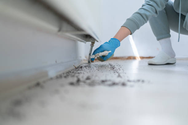 Best Pest Control for Businesses  in Decatur, MI